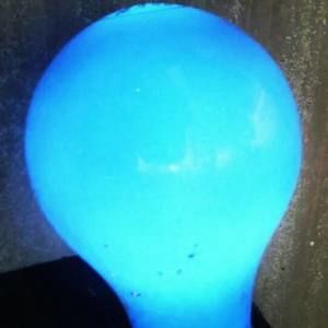 Meet your Posher, Bruno